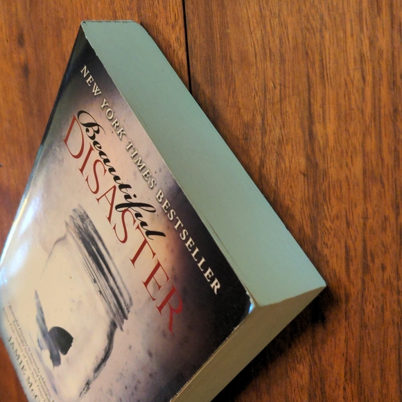 Beautiful Disaster Book - Picture 6 of 8